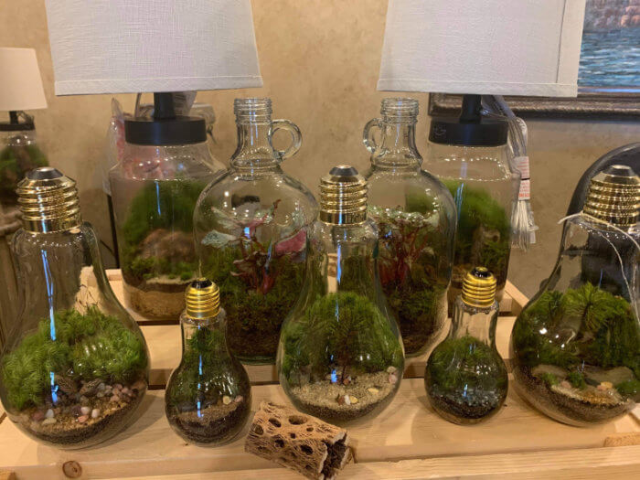 My DIY Terrarium vendor profile